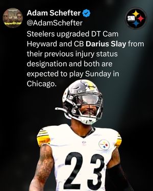 Image post by @steeler.nation.inc on Instagram