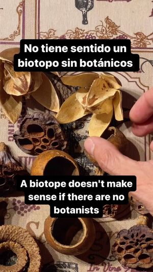 Video post by @aqualupi on Instagram