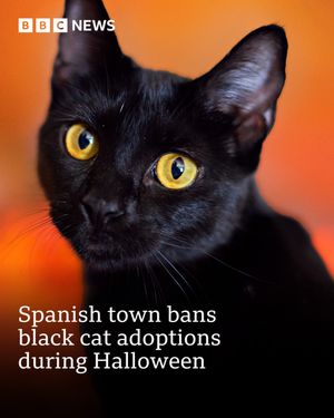 Image post by @bbcnews on Instagram
