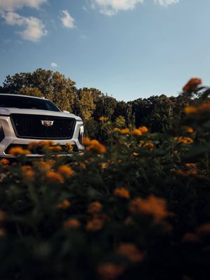 Image post by @cadillac on Instagram