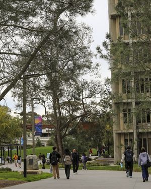 Image post by @ucsdadmissions on Instagram