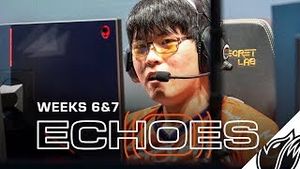 Video post by @echofox on YouTube