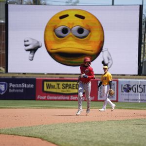 Image post by @MiLB on Twitter