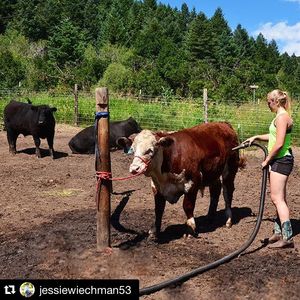 Image post by @nationalwestern on Instagram