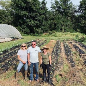 Image post by @greenhillwormfarm on Instagram