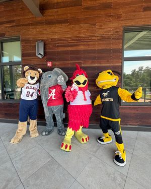 Image post by @bhamzoo on Instagram
