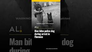 Video post by @aldotcom on YouTube