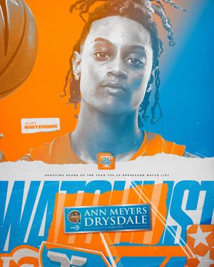 Image post by @ladyvol_hoops on Instagram