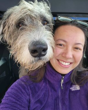 Image post by @thesavannahwolfhound on Instagram