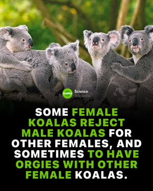 Image post by @science on Instagram