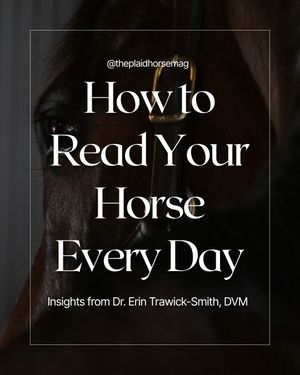 Image post by @theplaidhorsemag on Instagram