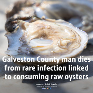Image post by @houstonpubmedia on Instagram