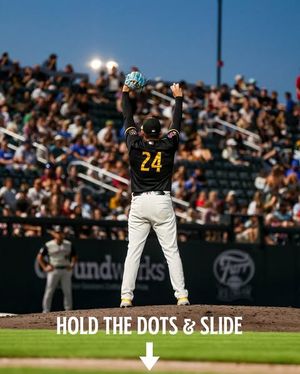 Image post by @saltlakebees on Instagram