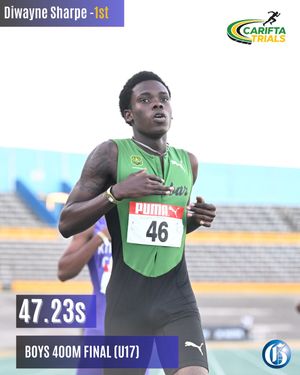 Image post by @jamaicagleaner on Instagram