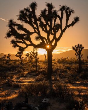 Image post by @nationalparkscollective on Instagram