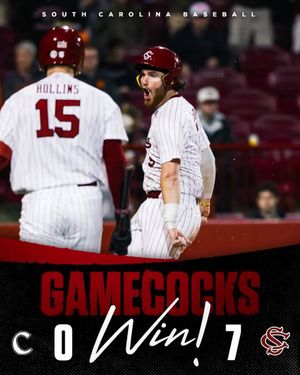 Image post by @gamecockbaseball on Instagram