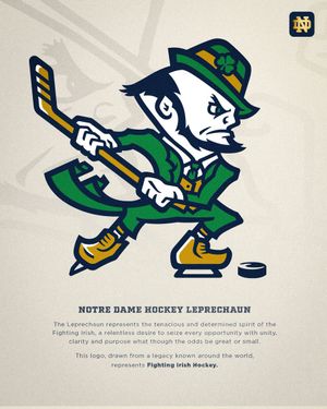 Image post by @FightingIrish on Twitter