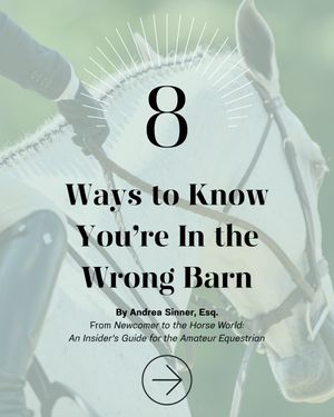 Image post by @theplaidhorsemag on Instagram