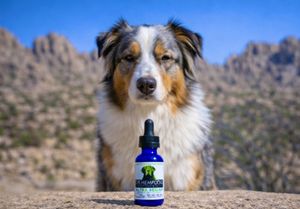 Image post by @drhempdog on Instagram