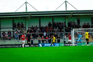 Image post by @LiamOneThree on Twitter