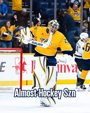 Image post by @PredsNHL on Twitter