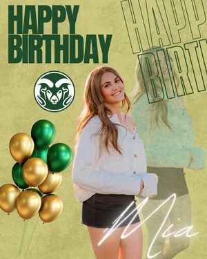 Image post by @csucheerleading on Instagram