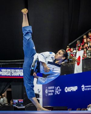 Image post by @worldtaekwondo on Instagram