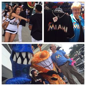 Image post by @marlins on Instagram