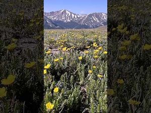 Video post by @kcmikeadventures on YouTube