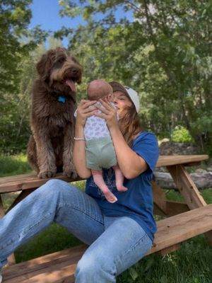 Image post by @kimklavel on Instagram