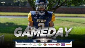 Image post by @goetbutigers on Instagram