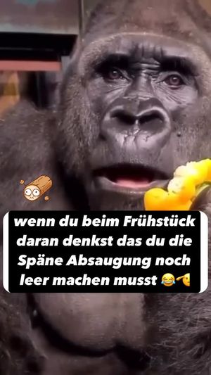 Video post by @kulpenberg_designs on Instagram