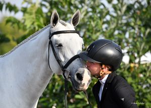 Image post by @kyhorseshows on Instagram