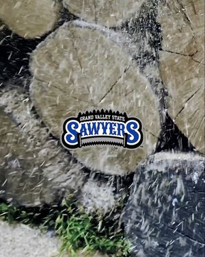 Image post by @gvsulakers on Instagram