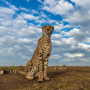 Image post by @bbcearth on Instagram
