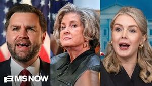 Video post by @msnbc on YouTube