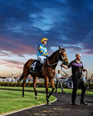 Image post by @australianturfclub on Instagram