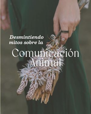 Image post by @amanaturis on Instagram