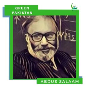 Image post by @sunny_arain on Instagram