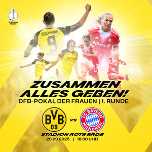 Image post by @BVB on Twitter