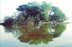 Image post by @kanchan_balani on Instagram