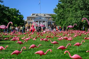 Image post by @uwmadison on Instagram