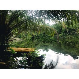 Image post by @indiadesjardins on Instagram
