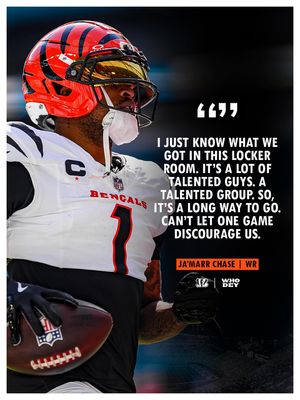 Image post by @bengals on Instagram