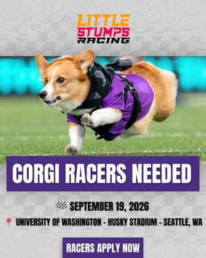 Image post by @littlestumpsracing1 on Facebook