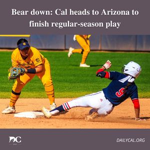 Image post by @dailycalsports on Instagram
