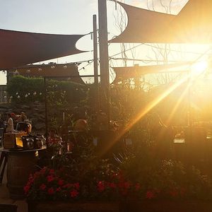 Image post by @theironhorsehotel on Instagram