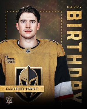 Image post by @vegasgoldenknights on Instagram