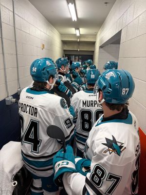 Image post by @sjbarracuda on Twitter/X