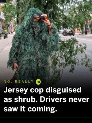 Video post by @njdotcom on TikTok